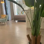 Spring House * ポンペイ